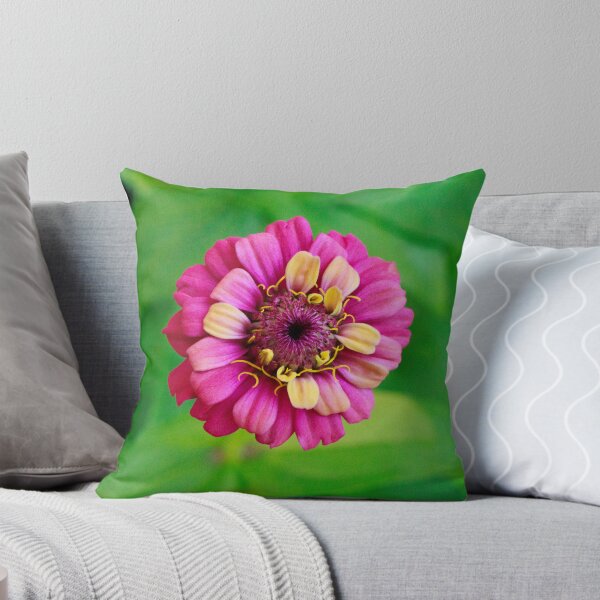 Item preview, Pink and Yellow Zinnia designed and sold by PhotoArtbyGrace.