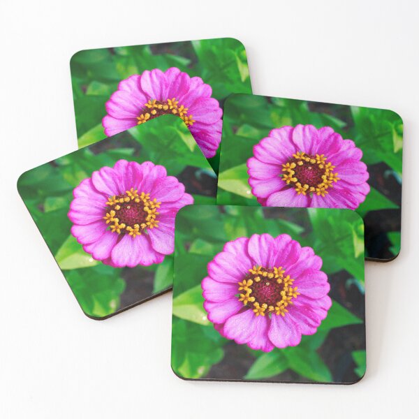 Item preview, Pink and Purple Zinnia Bloom designed and sold by PhotoArtbyGrace.