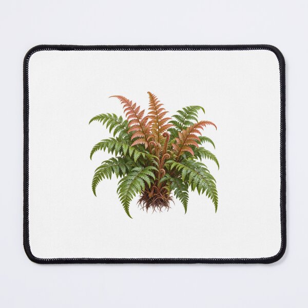 Item preview, Autumn Fern (Dryopteris erythrosora) – Detailed Botanical Fern Illustration designed and sold by Ink-Whiskers.