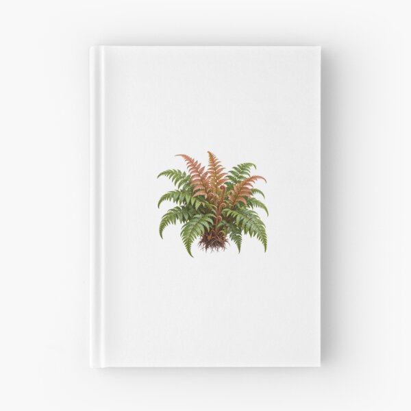 Item preview, Autumn Fern (Dryopteris erythrosora) – Detailed Botanical Fern Illustration designed and sold by Ink-Whiskers.