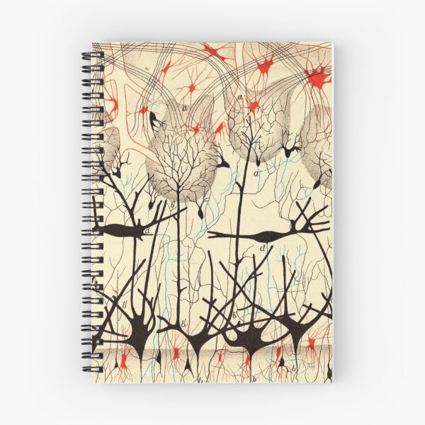 Item preview, Nerve Cells, ca. 1900 — Santiago Ramón y Cajal designed and sold by Jpsmyth.