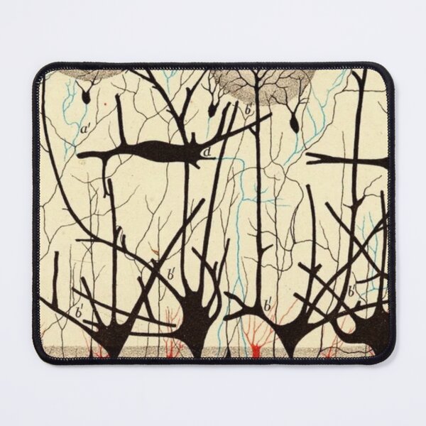 Item preview, Nerve Cells, ca. 1900 — Santiago Ramón y Cajal designed and sold by Jpsmyth.