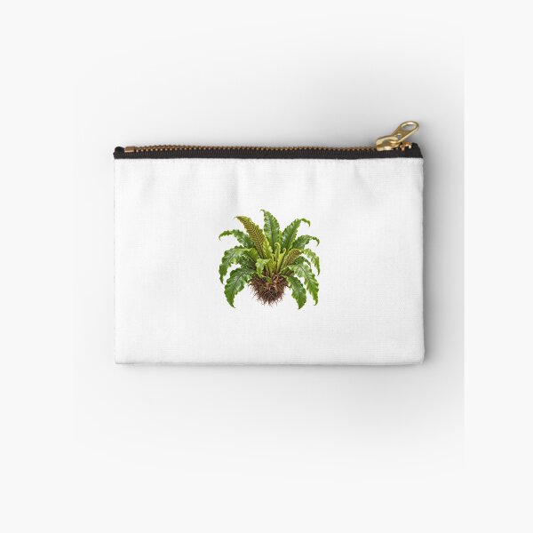 Item preview, Bird's Nest Fern (Asplenium nidus) – Detailed Botanical Fern Illustration designed and sold by Ink-Whiskers.