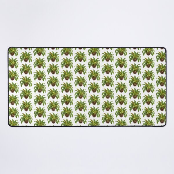 Item preview, Bird's Nest Fern (Asplenium nidus) – Detailed Botanical Fern Illustration designed and sold by Ink-Whiskers.