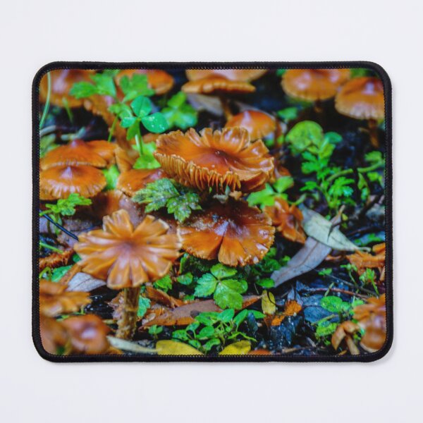 Item preview, Fungi designed and sold by D-GaP.