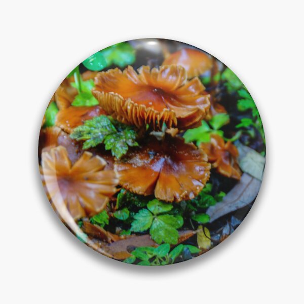Item preview, Fungi  designed and sold by D-GaP.