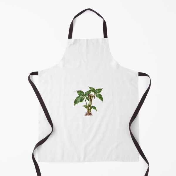 Item preview, Jack-in-the-Pulpit (Arisaema triphyllum) – Detailed Botanical Wildflower Illustration designed and sold by Ink-Whiskers.