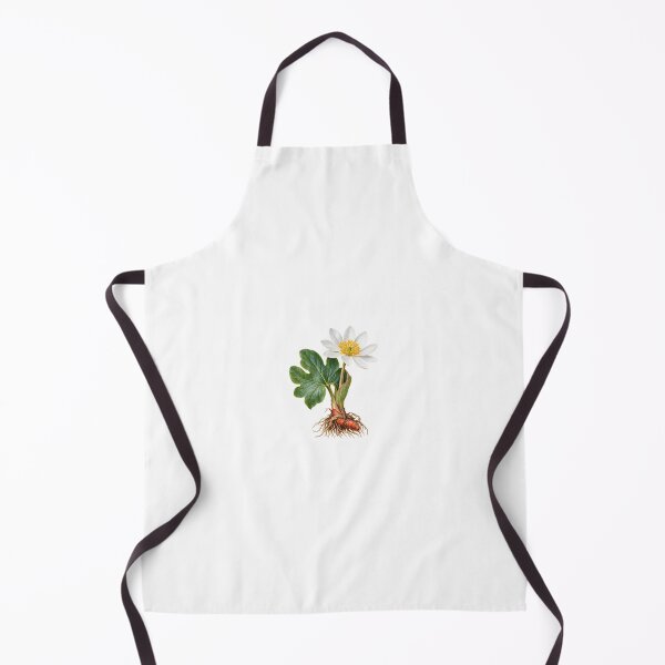Item preview, Bloodroot (Sanguinaria canadensis) – Detailed Botanical Wildflower Illustration designed and sold by Ink-Whiskers.