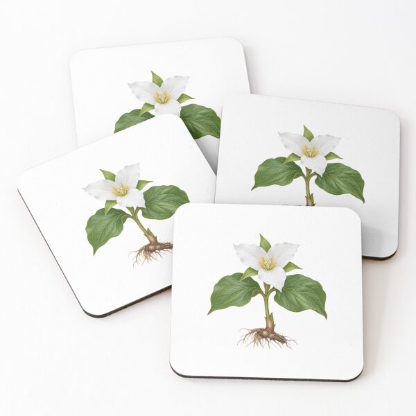 Item preview, White Trillium (Trillium grandiflorum) – Detailed Botanical Wildflower Illustration designed and sold by Ink-Whiskers.