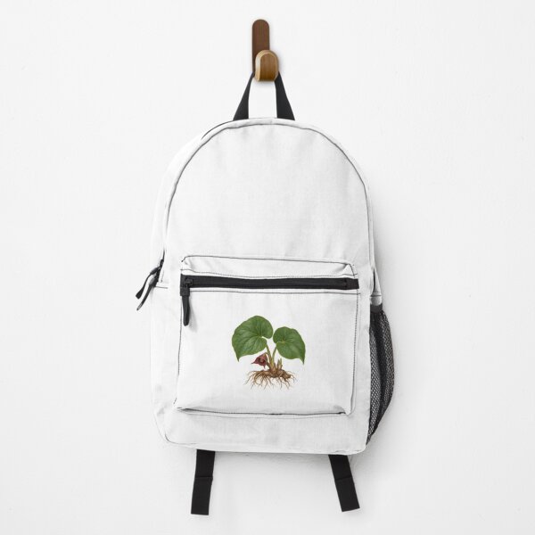 Item preview, Wild Ginger (Asarum canadense) – Detailed Botanical Wildflower Illustration designed and sold by Ink-Whiskers.