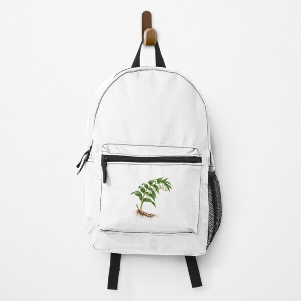 Item preview, Sealwort - (Polygonatum biflorum) – Detailed Botanical Wildflower Illustration designed and sold by Ink-Whiskers.