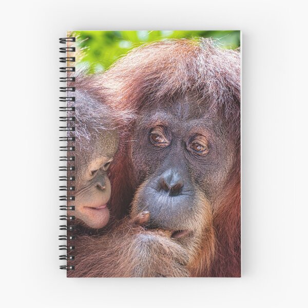 Item preview, Orang Utans 09 designed and sold by photograham.