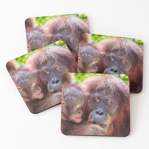 Item preview, Orang Utans 09 designed and sold by photograham.