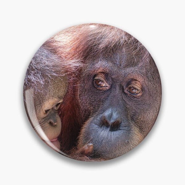 Item preview, Orang Utans 09 designed and sold by photograham.