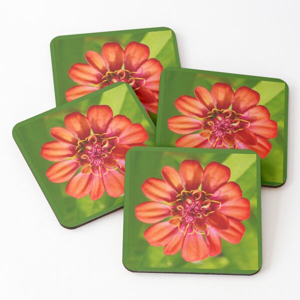 Item preview, Orange and Pink Zinnia designed and sold by PhotoArtbyGrace.