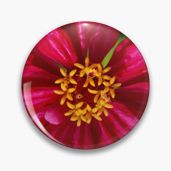Item preview, Dark Pink Zinnia designed and sold by PhotoArtbyGrace.