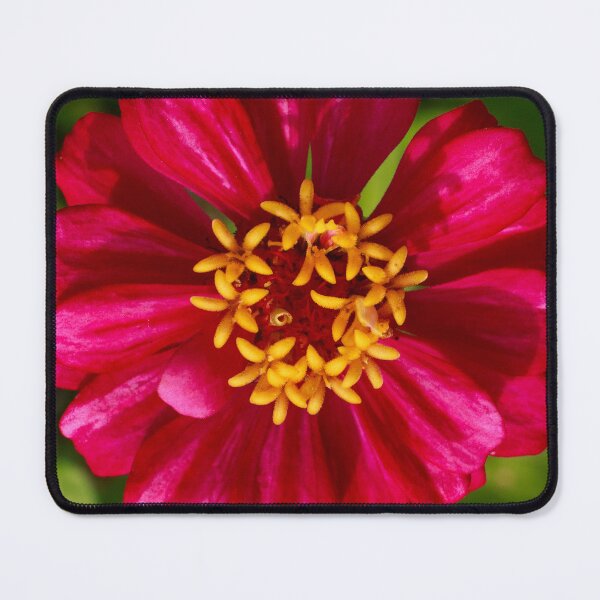 Item preview, Dark Pink Zinnia designed and sold by PhotoArtbyGrace.