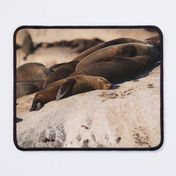 Item preview, Cape fur seals sunbathing in South Africa designed and sold by Gilmore Photography.