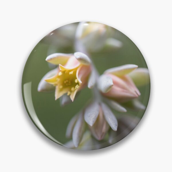 Item preview, Succulent Delight designed and sold by PicassosParadox.
