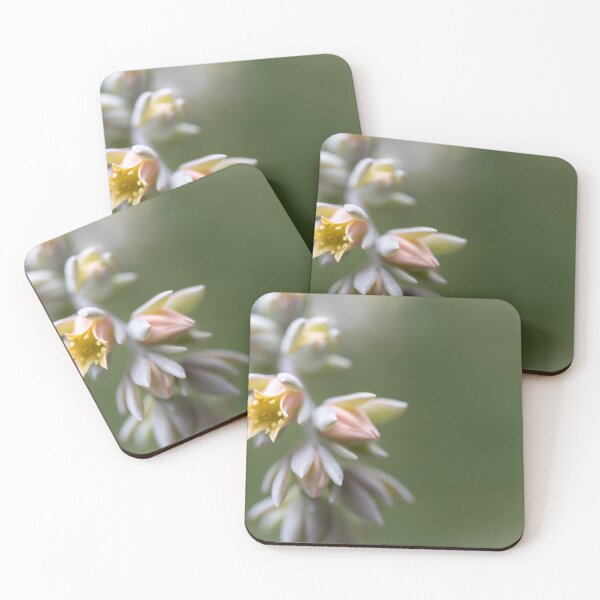Item preview, Succulent Delight designed and sold by PicassosParadox.