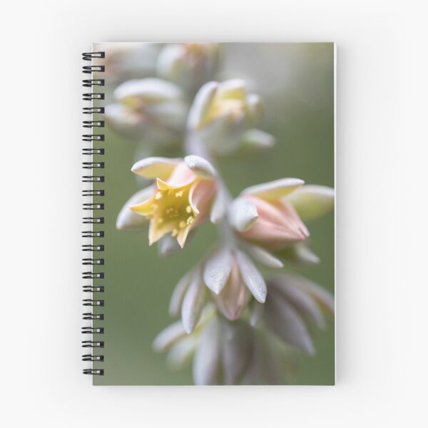 Item preview, Succulent Delight designed and sold by PicassosParadox.