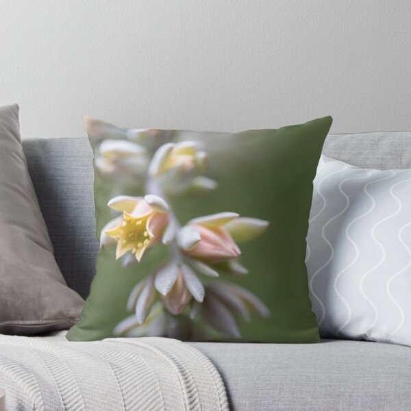 Item preview, Succulent Delight designed and sold by PicassosParadox.