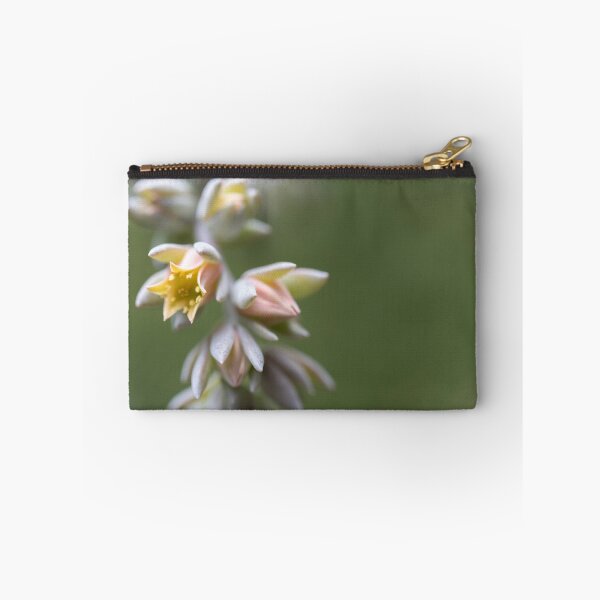 Item preview, Succulent Delight designed and sold by PicassosParadox.