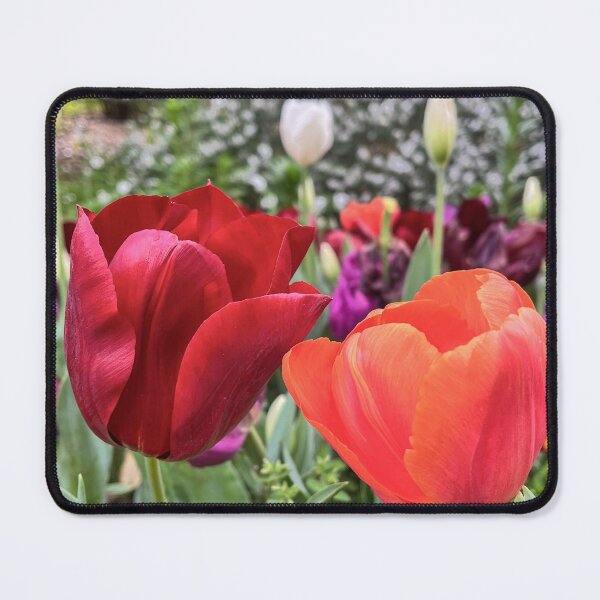 Item preview, Red and Orange Tulips in a Colourful Spring Garden designed and sold by Be Captured by Brittany Emma.