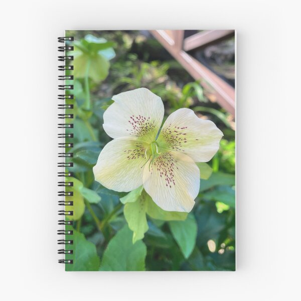 Item preview, White Hellebore with Burgundy Speckles designed and sold by Be Captured by Brittany Emma.