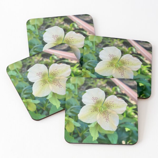 Item preview, White Hellebore with Burgundy Speckles designed and sold by Be Captured by Brittany Emma.