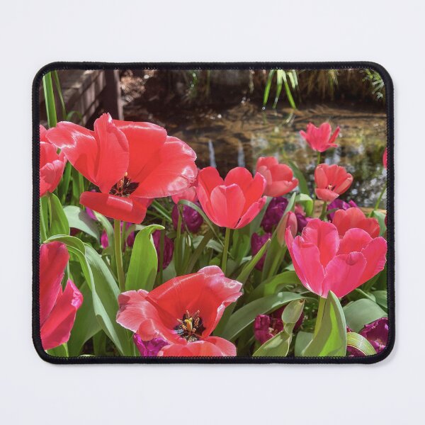 Item preview, Hot Pink Tulips Beside a Garden Pond designed and sold by Be Captured by Brittany Emma.