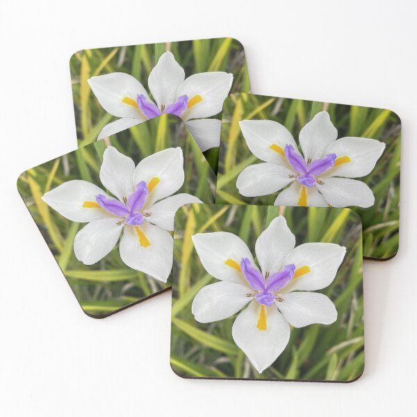 Item preview, White African Iris with Purple and Yellow Centre designed and sold by Be Captured by Brittany Emma.