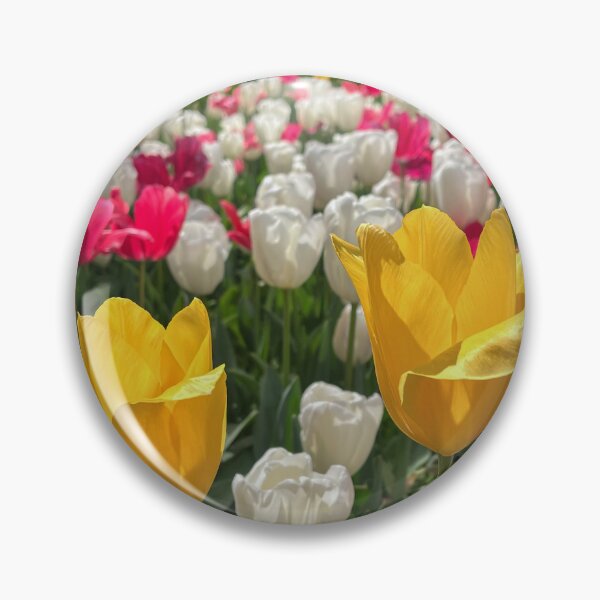 Item preview, Yellow Tulips in a Pink and White Spring Garden designed and sold by Be Captured by Brittany Emma.