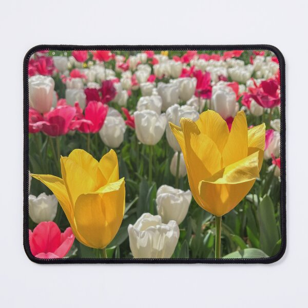 Item preview, Yellow Tulips in a Pink and White Spring Garden designed and sold by Be Captured by Brittany Emma.