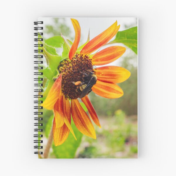 Item preview, Bumblebee on Colorful Sunflower designed and sold by PhotoArtbyGrace.
