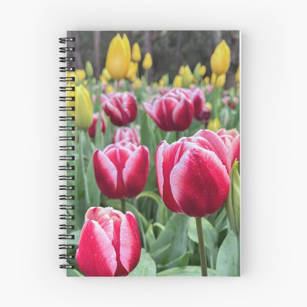 Item preview, Red and White Tulips with Water Droplets designed and sold by Be Captured by Brittany Emma.