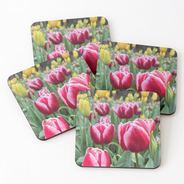 Item preview, Red and White Tulips with Water Droplets designed and sold by Be Captured by Brittany Emma.