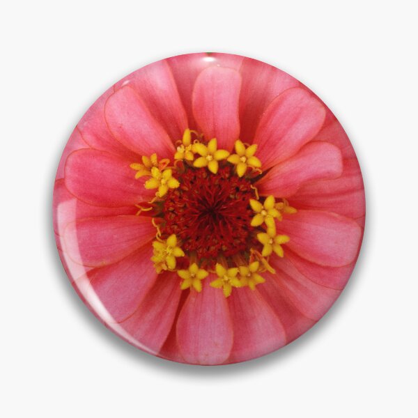 Item preview, Light Pink Zinnia designed and sold by PhotoArtbyGrace.