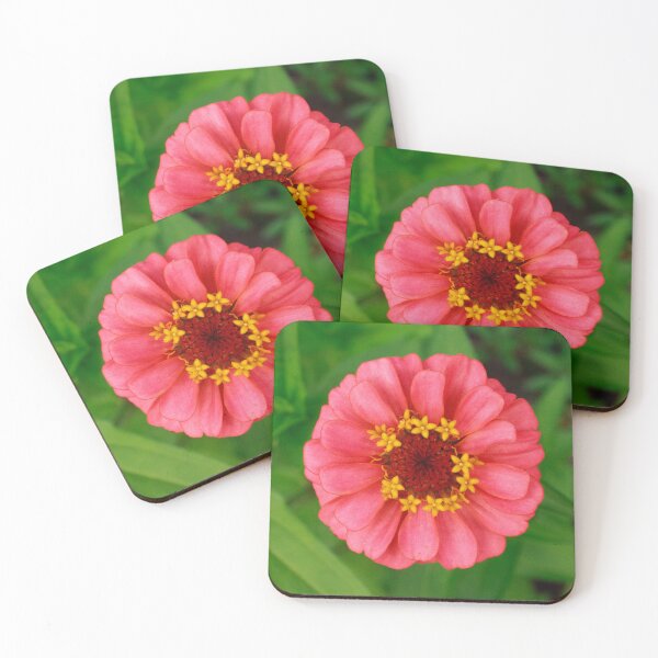 Item preview, Light Pink Zinnia designed and sold by PhotoArtbyGrace.
