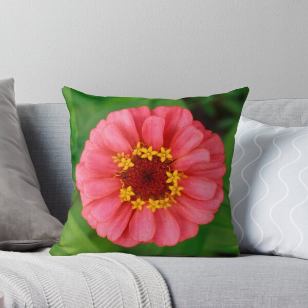 Item preview, Light Pink Zinnia designed and sold by PhotoArtbyGrace.