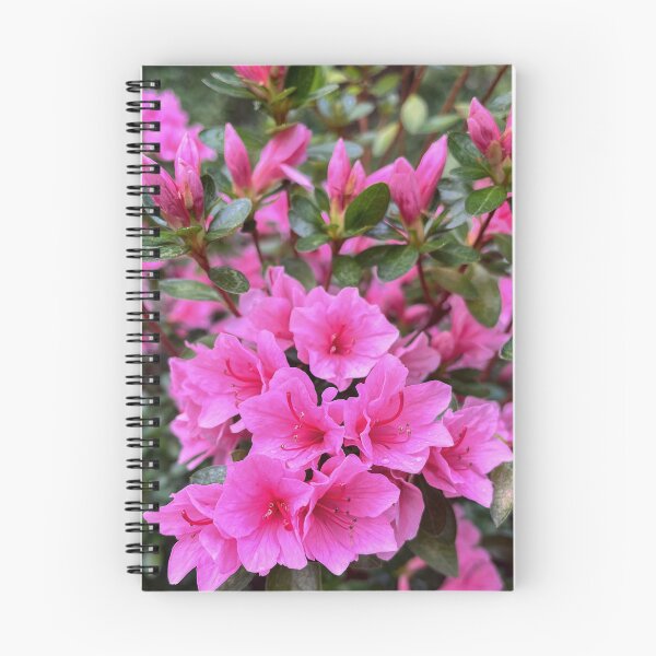 Item preview, Bright Pink Azalea Flowers in Bloom designed and sold by Be Captured by Brittany Emma.