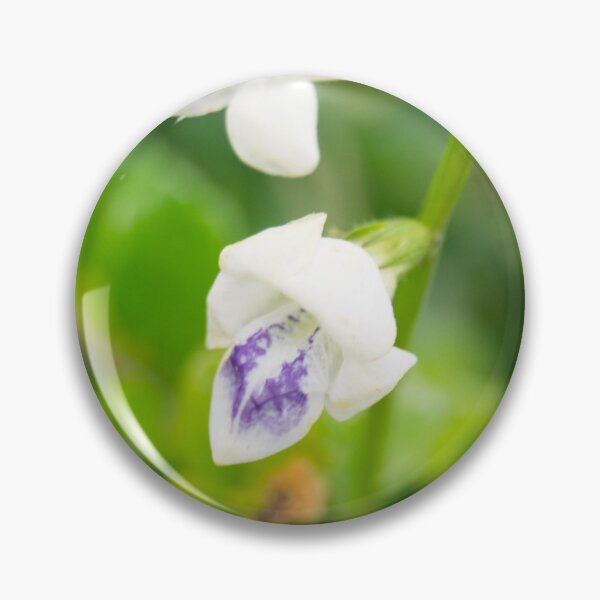 Item preview, Coromandel designed and sold by ROSE ANN BANILAR.