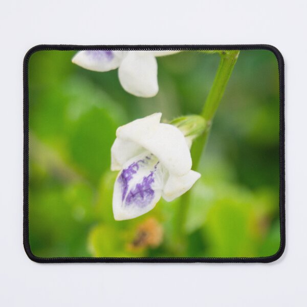 Item preview, Coromandel designed and sold by ROSE ANN BANILAR.