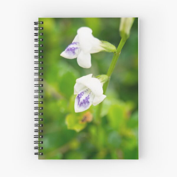 Item preview, Coromandel designed and sold by ROSE ANN BANILAR.