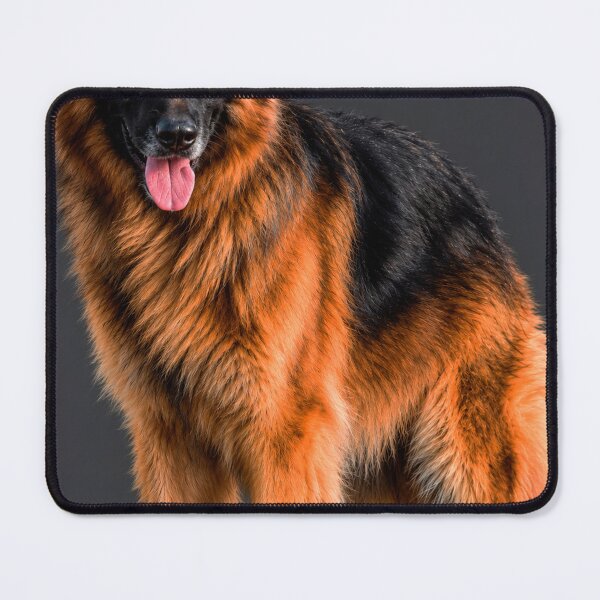 Item preview, Majestic Long-Haired German Shepherd – Beautiful Dog Portrait Wall Art designed and sold by REVOLVE ART 67.