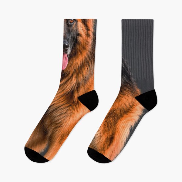 Item preview, Majestic Long-Haired German Shepherd – Beautiful Dog Portrait Wall Art designed and sold by REVOLVE ART 67.