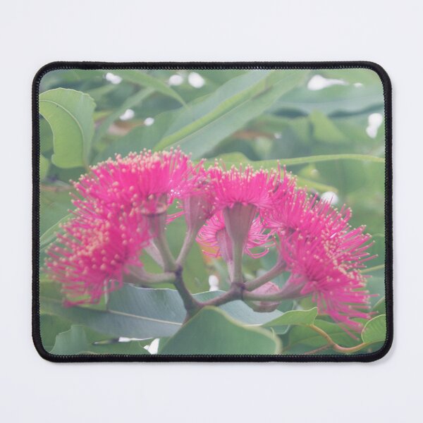 Item preview, flowering gum blossoms designed and sold by ROSE ANN BANILAR.