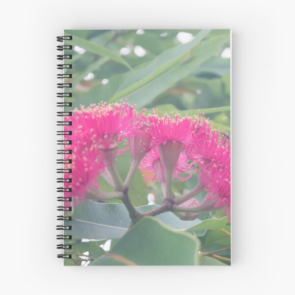 Item preview, flowering gum blossoms designed and sold by ROSE ANN BANILAR.