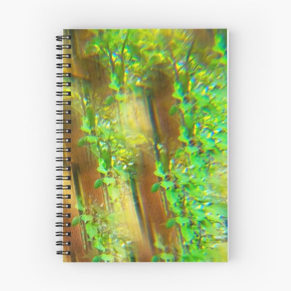 Item preview, Olympic Rain Forest: The Mossy Cedar and Emerald Mist designed and sold by ElionSolis.