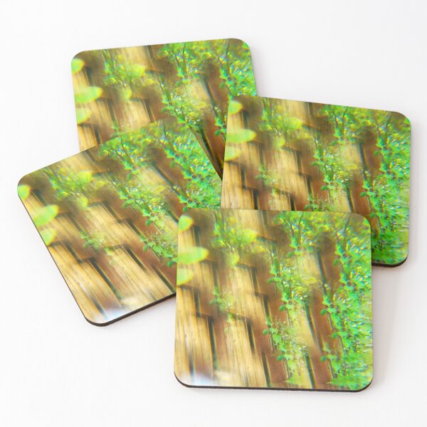 Item preview, Olympic Rain Forest: The Mossy Cedar and Emerald Mist designed and sold by ElionSolis.